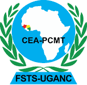 CEA-PCMT